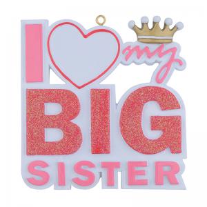 I Love my  Big Sister